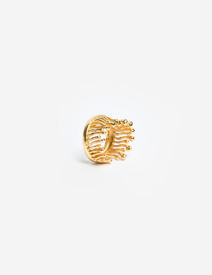 Anillo Aro Pestañas