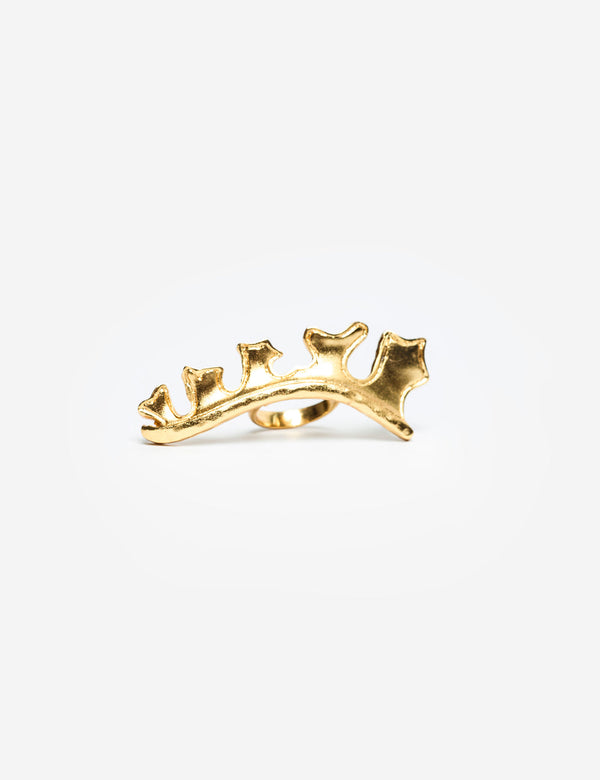 Anillo Ojo Cerrado Petalos