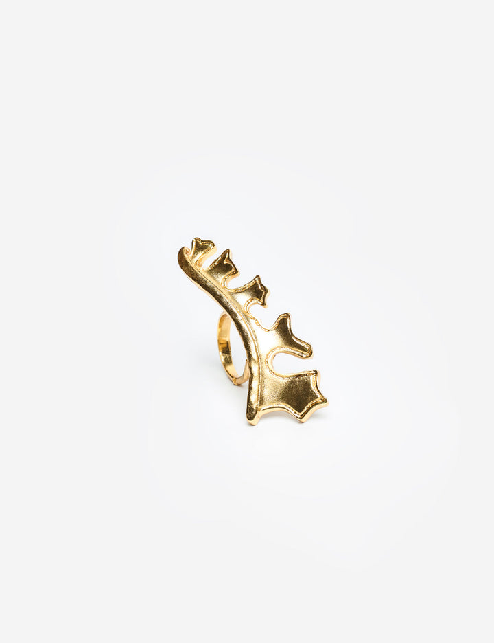 Anillo Ojo Cerrado Petalos